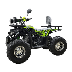 ALPHATECH RAPTOR 135CC